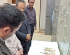 ظرفیت‌های کردستان در زنجیره پژوهش، تولید و گواهی بذر بررسی شد