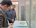 ظرفیت‌های کردستان در زنجیره پژوهش، تولید و گواهی بذر بررسی شد