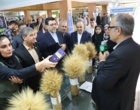 بازدید رایزنان اقتصادی وزارت امور خارجه و مسئولان کشوری از دستاوردهای نوآورانه بخش کشاورزی