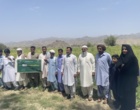 برگزاری مزرعه الگویی کشت برنج آبیاری در منطقه کیشکور از توابع شهرستان سرباز