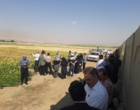 لرستان، کانون تبادل دانش کشاورزی؛ برگزاری رویداد ملی انتقال یافته‌های نوین تحقیقاتی در بروجرد و ازنا