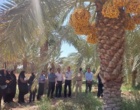 برگزاری دوره آموزشی «اصول طراحی و احداث باغ» ویژه کارشناسان باغبانی جهاد کشاورزی خوزستان
