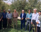 «روز مزرعه»؛ فرصتی برای ترویج راهکارهای علمی در مدیریت پایدار منابع