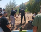 برگزاری دوره آموزشی و عملی «تولید نهال و فنون جنگل‌کاری» در نهالستان منابع طبیعی لرستان
