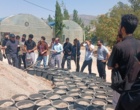 برگزاری دوره آموزشی و عملی «تولید نهال و فنون جنگل‌کاری» در نهالستان منابع طبیعی لرستان