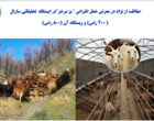 صیانت از میراث ژنتیکی بز مرخز در سارال