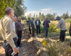 توانمندسازی بهره‌برداران منابع طبیعی با ترویج کشت گیاهان دارویی