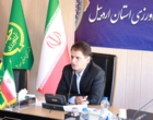 کشاورزی سنتی پاسخگوی نیاز امروز نیست / ضرورت حرکت به سمت پژوهش‌های «مسئله‌محور»