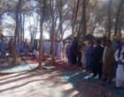 برگزاری یازدهمین کاروان ترویجی بهره وری ویژه الگوی کشت ملی در شهرستان خاش
