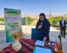 تحلیل و بررسی جایگاه الگوی کشت ملی در لرستان: ضرورت هم‌افزایی دانش پژوهشی و مدیریت به‌زراعی در مزارع پیشرو