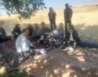 یازدهمین کاروان ترویجی کشت پاییزه در الیگودرز؛ پیوند میان یافته‌های تحقیقاتی و عرصه‌های تولید