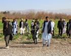 گزارش تصویری بازدید کارشناسان کشاورزی کشور افغانستان از مزارع و گلخانه های بذور سبزی و صیفی مستقر در مرکز آموزش عالی امام خمینی(ره)