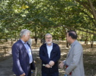 معتمدیان بر بهره‌گیری از ظرفیت دستگاه‌های اجرایی استان برای رفع چالش‌های باغ گیاه‌شناسی تأکید کرد