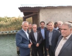 بازدید سرزده دکتر غلامرضا گلمحمدی معاون وزیر و رئیس سازمان «تات» از پردیس تحقیقات و آموزش کشاورزی بروجرد