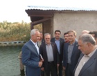 بازدید سرزده دکتر غلامرضا گلمحمدی معاون وزیر و رئیس سازمان «تات» از پردیس تحقیقات و آموزش کشاورزی بروجرد