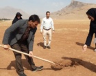 نشست تبیین طرح ملی شبکه مزارع الگویی در مرکز جهاد کشاورزی دیناروند برگزار شد؛ تأکید بر ارتقای دانش کشاورزان و افزایش بهره‌وری در عرصه تولید