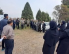 کشت و توسعه شیرین‌بیان؛ راهکاری برای کاهش فشار بر رویشگاه‌های طبیعی و افزایش رونق اقتصاد روستایی