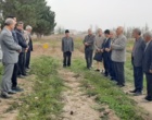 کشت و توسعه شیرین‌بیان؛ راهکاری برای کاهش فشار بر رویشگاه‌های طبیعی و افزایش رونق اقتصاد روستایی