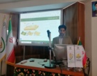 برگزاری کارگاه آموزشی اصول تهیه طرح‌های اجرایی بیابان‌زدایی و نحوه مشارکت مردمی
