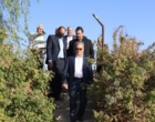بازدید معاون وزیر و رئیس سازمان تات از پردیس تحقیقات و آموزش لوبیای خمین