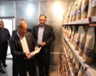 بازدید معاون وزیر و رئیس سازمان تات از پردیس تحقیقات و آموزش لوبیای خمین