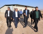 بازدید معاون وزیر و رئیس سازمان تات از پردیس تحقیقات و آموزش لوبیای خمین