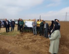 عملیات کاشت مزرعه الگویی گندم آبی در روستای نیار اردبیل اجرا شد