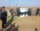 عملیات کاشت مزرعه الگویی گندم آبی در روستای نیار اردبیل اجرا شد