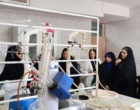 آموزش عملی فرآوری گیاهان دارویی؛ از عصاره‌گیری تا اسانس‌گیری