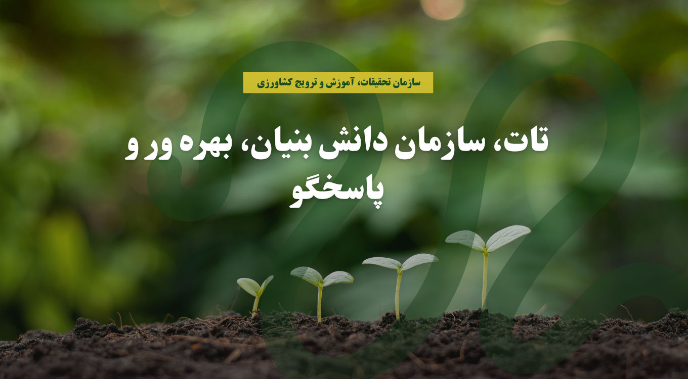 سازمان تات