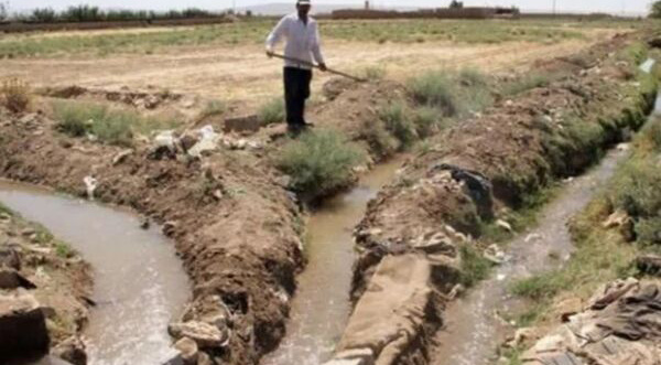 یکپارچه‌سازی کشت و حقابه؛ راهکاری بومی برای کاهش اتلاف آب در مزارع