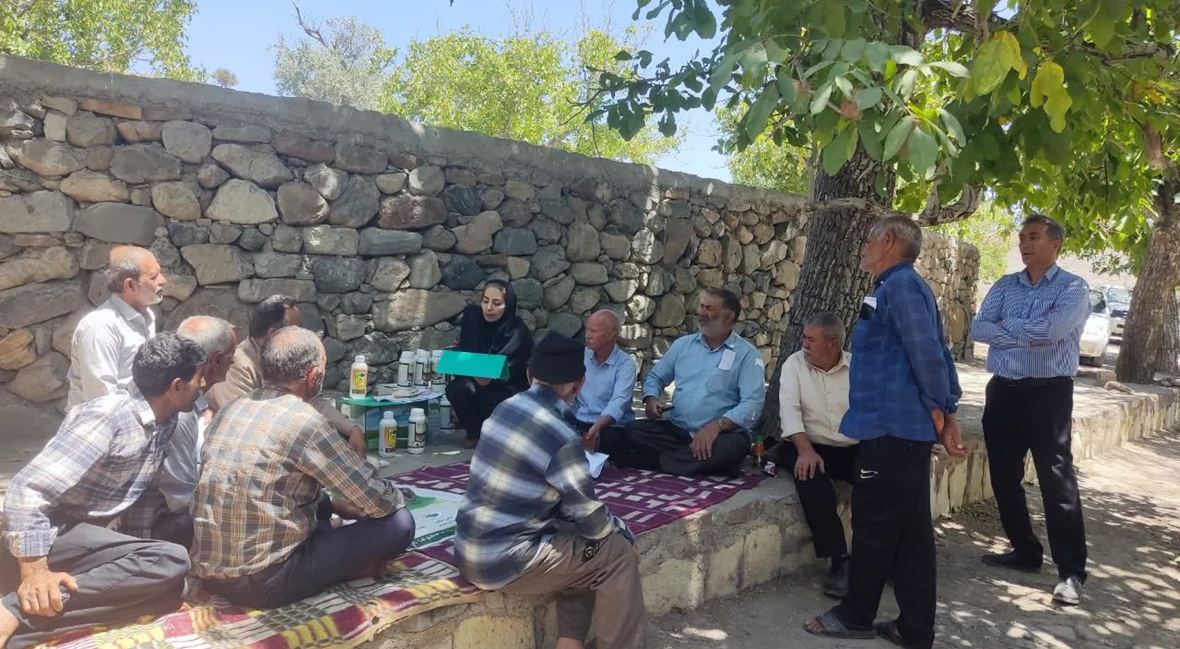 برگزاری مانور استانی مدیریت آفت مگس میوه مدیترانه‌ای در سیرجان
