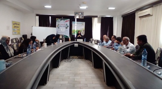 برگزاری کارگاه توانمندسازی مددکاران ترویجی در شهرستان دشتستان