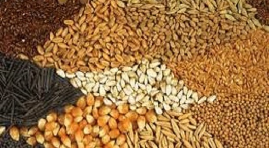 لزوم اصلاح سیاست‌های واردات نهاده‌ها