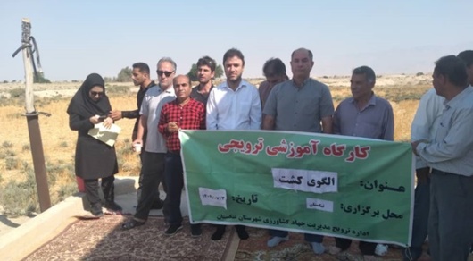 دوره آموزشی تغییر اقلیم بر الگوی کشت و تناوب زراعی