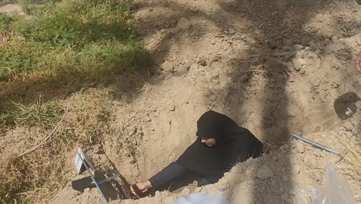 کاهش 37 درصدی تعداد استعلامات تغییر کاربری اراضی در بوشهر