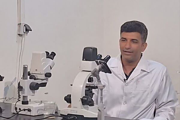 فناوری تکثیر مصنوعی باس دریایی؛ دستاورد پژوهشگر ایرانی در مسیر تولید بچه‌ماهی باکیفیت