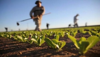 نهمین کاروان ترویج بهره‌وری گامی به‌سوی الگوی سازگار با تغییر اقلیم در کشت محصولات زراعی