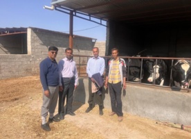 بازدید محقق معین از دامداری های روستای امین آباد شهرستان اسفراین