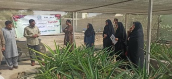 دوره آموزشی کاشت داشت و برداشت آناناس