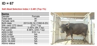 طراحی و انتشار سومین کاتالوگ اصلاح نژاد گاومیش بومی استان خوزستان