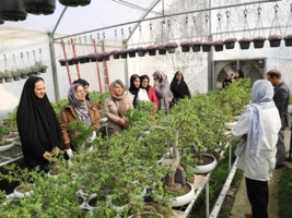 بازدید مددجویان کمیته امداد امام خمینی(ره) شهرستان فردیس از مرکز آموزش عالی امام خمینی(ره)