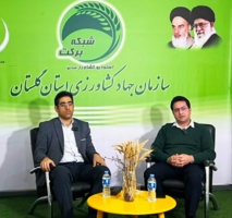 برگزاری برنامه تخصصی معرفی ارقام گندم دیم و آبی توسط شبکه برکت گلستان