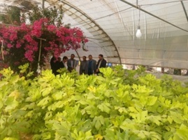 بازدید میدانی مدیران سازمان تحقیقات آموزش و ترویج کشاورزی (تات) از واحد آموزش آرادان