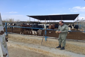 تولید و توسعه خوراک کامل