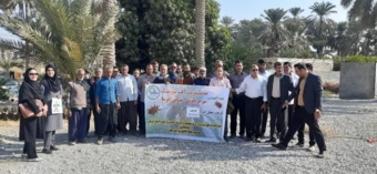 کارگاه آموزشی ترویجی روش‌های مدیریتی نوین آفت سوسک سرخرطومی حنایی خرما