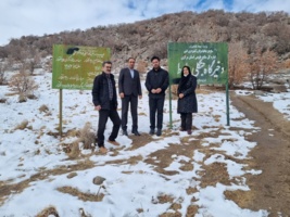 بازدید کارگروه گیاه پزشکی در حوزه منابع طبیعی از ذخیره‌گاه طبیعی بلوط در شهرستان سربند