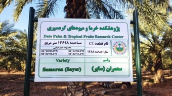 بازسازی و نصب تابلوهای جدید در قطعات نخلستان ستاد پژوهشکده خرما و میوه‌های گرمسیری
