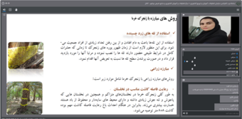 برگزاری وبینار آموزشی با موضوع آفت زنجرک خرما