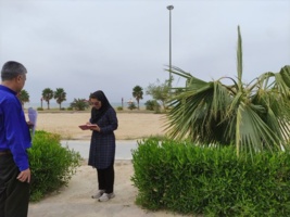 بازدید میدانی از پروژه‌های فضای سبز در شهرستان کنگان